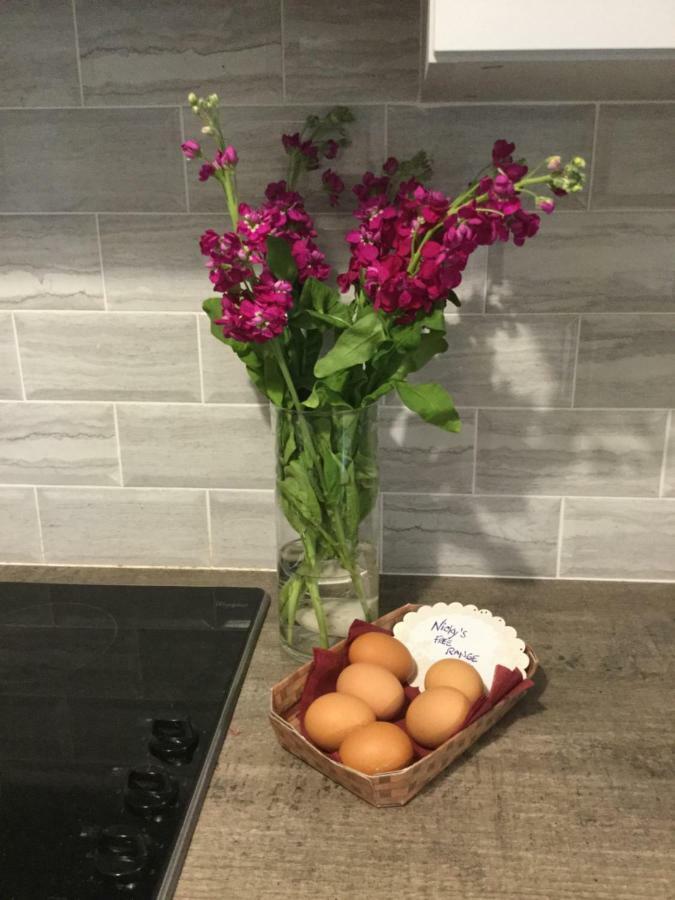 Rose Alley Apartment Westport Bagian luar foto