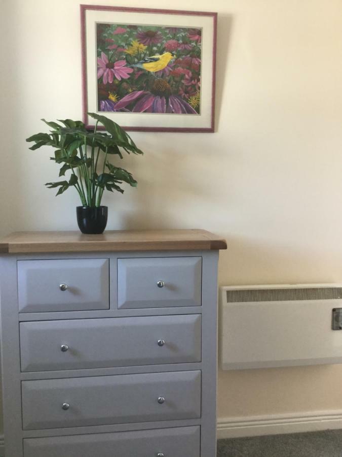 Rose Alley Apartment Westport Bagian luar foto